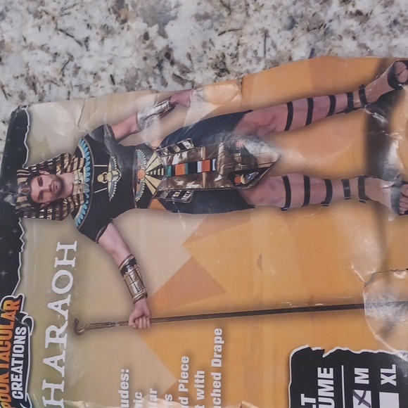 NEW SPOOKTACULAR Adult Men Size Medium, XL King of Egypt King Tut Costume - Picture 8 of 15